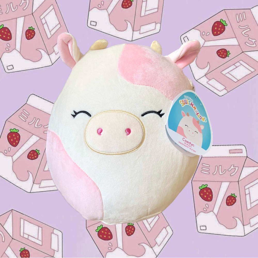 🍓12” Caedyn Squishmallow🍓